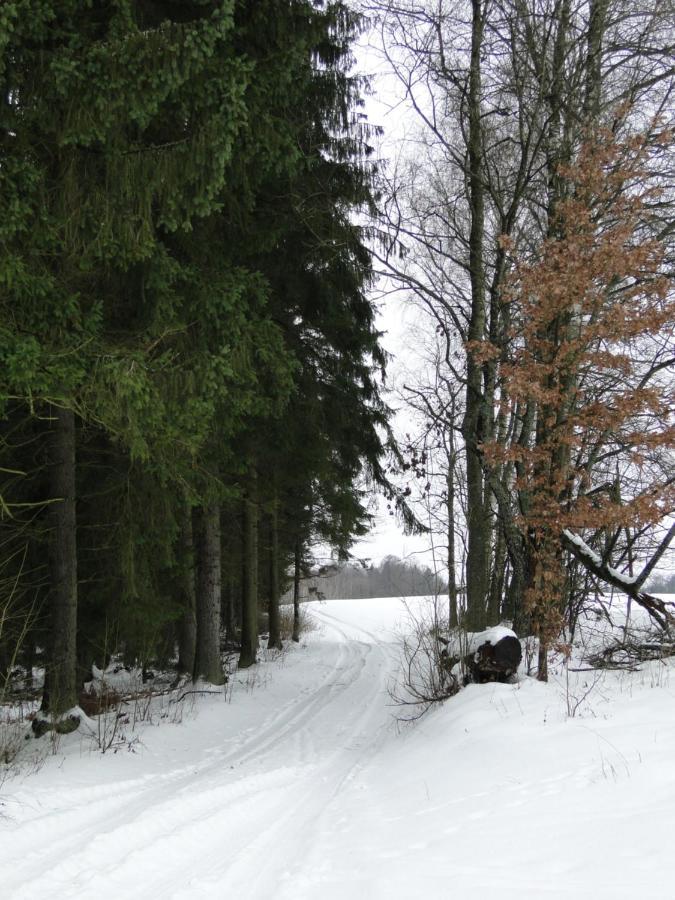 Agroturystyka Zywe Kruklanki Exterior foto