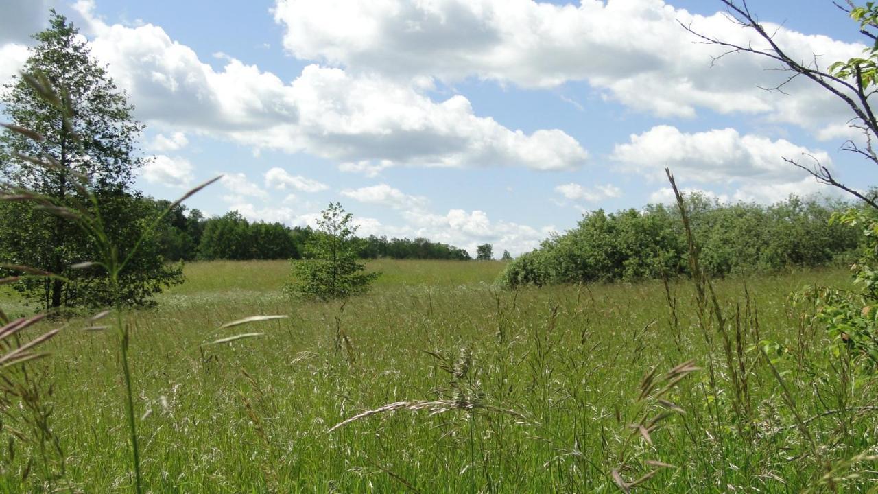 Agroturystyka Zywe Kruklanki Exterior foto