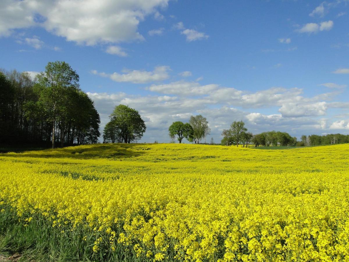 Agroturystyka Zywe Kruklanki Exterior foto
